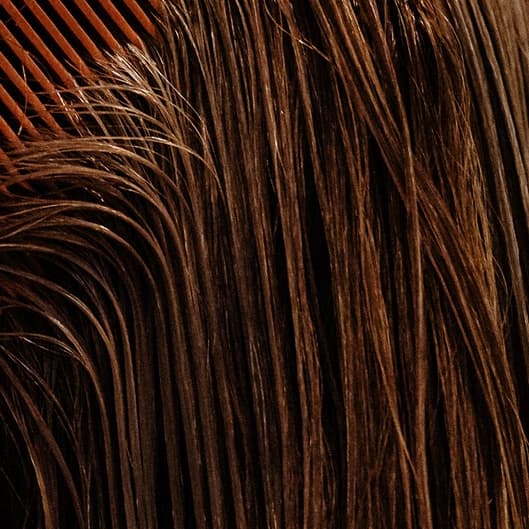 OCTOBER SPECIAL- 8 blowouts at HAIR X CHELSEA DAWN in Orange, TX